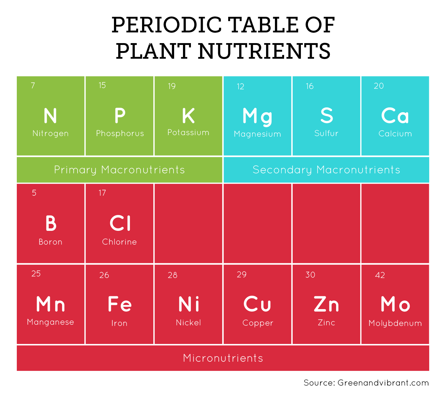 The Essential Nutrients for Hydroponic Success - Green Genius