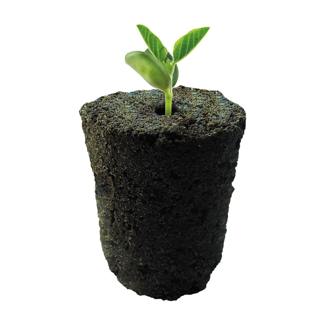 Rooty Plug Propagation cubes (bag of 20)