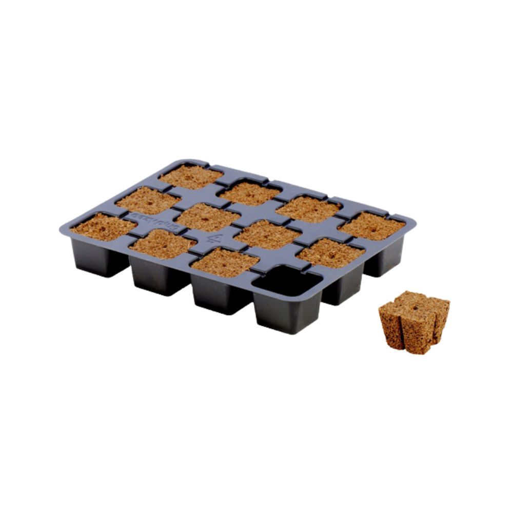 Eazy Plug Propagation Plug Tray