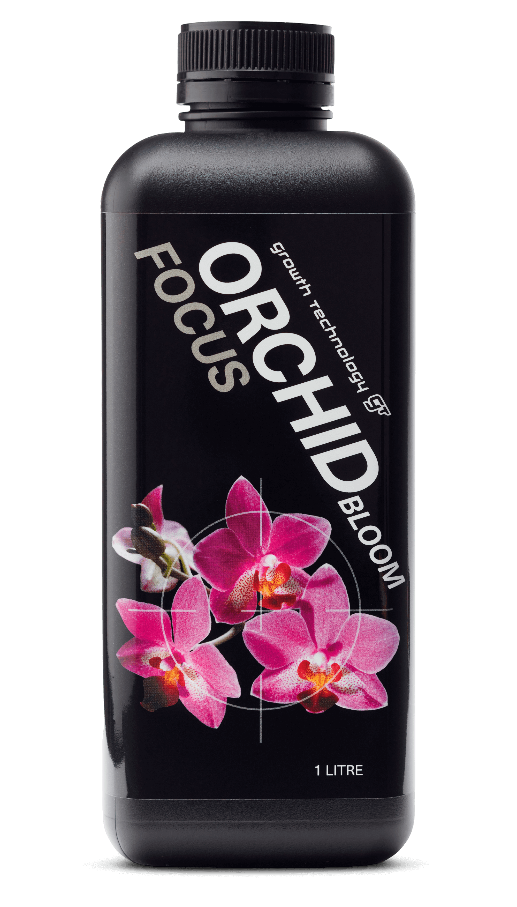 GT Orchid Focus Bloom