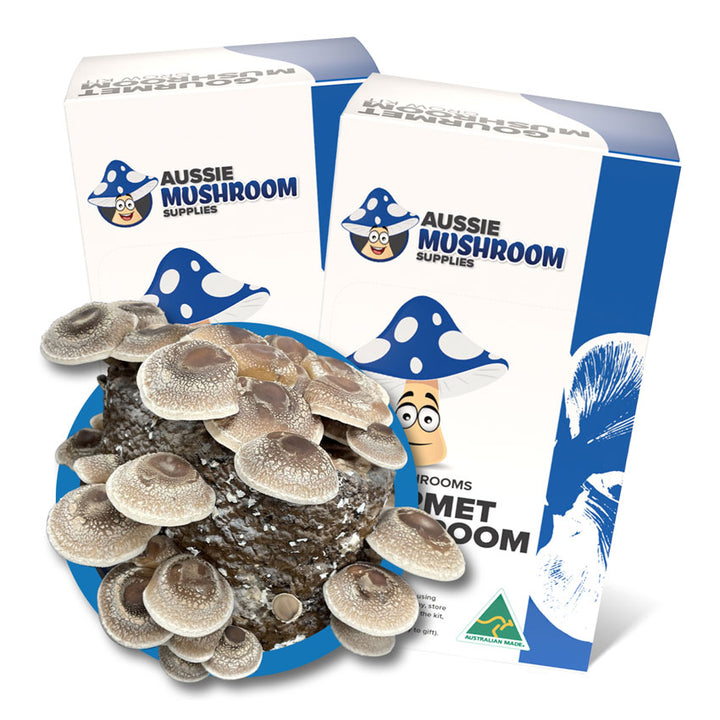 Aussie Mushroom Kit