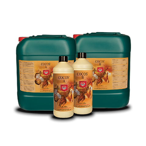 House & Garden Cocos A&B