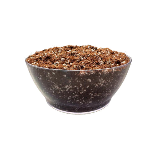 Hy-Gen Coirlite 70/30 Peat - Perlite 4/8 Premium 50 Litre