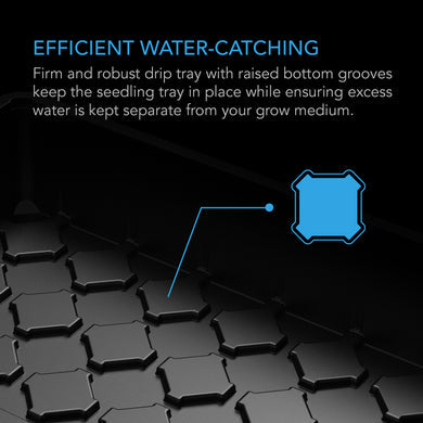 Humidity Dome XL, Propagation Kit, 6x12 Cell Tray with Height Extension