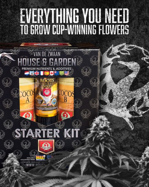 House & Garden Starter Kit - Coco