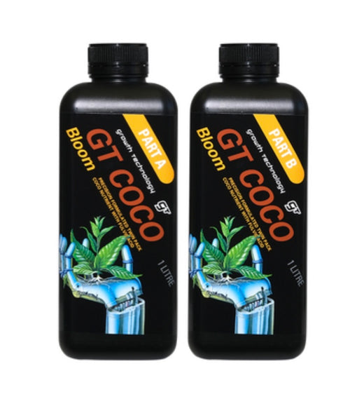 GT Coco Bloom (A&B) Set