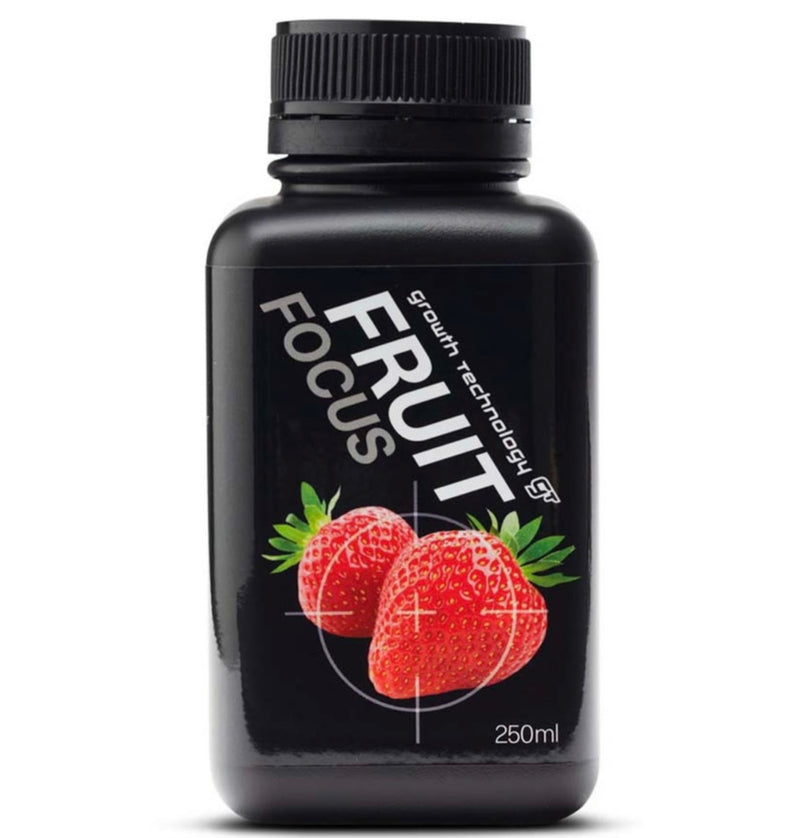 GT Fruit Focus