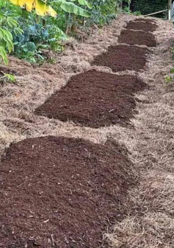 Red Soil Biodynamic Fermented Mulch