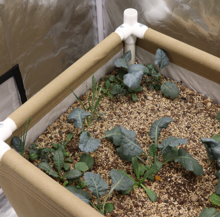 Screenshot showcasing a hydroponic system