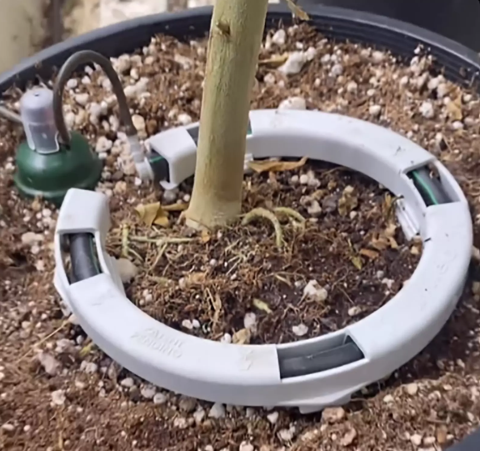 Drip Ring - for Blumat Systems