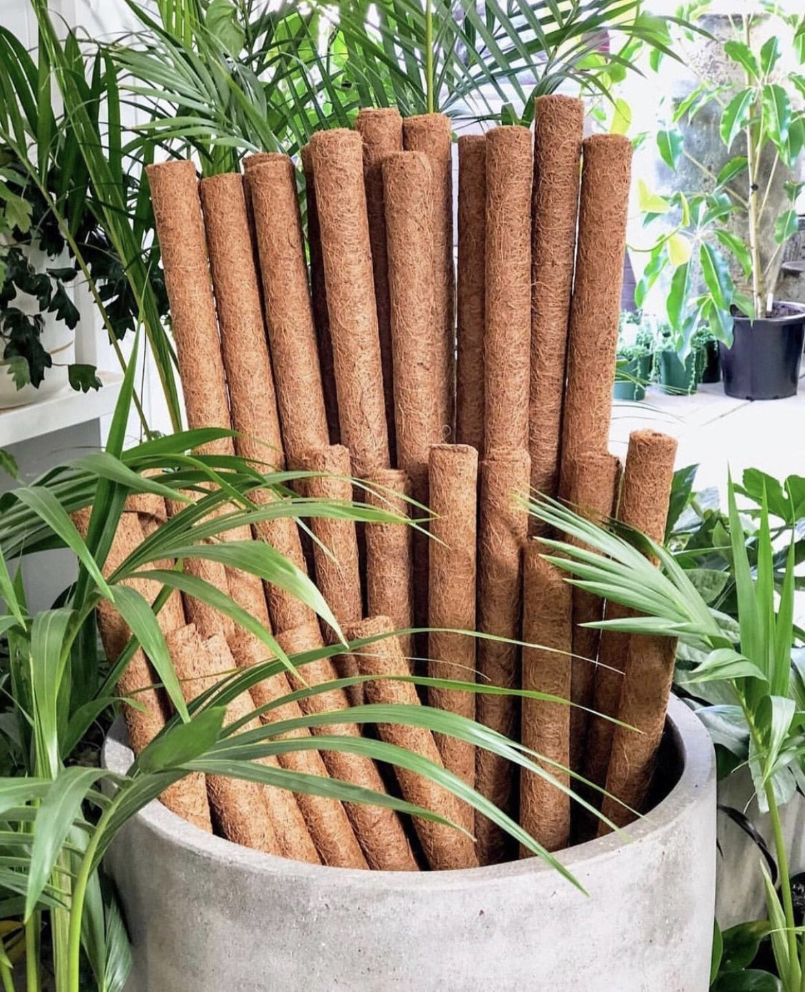 Coconut Fibre Totem Plant Poles