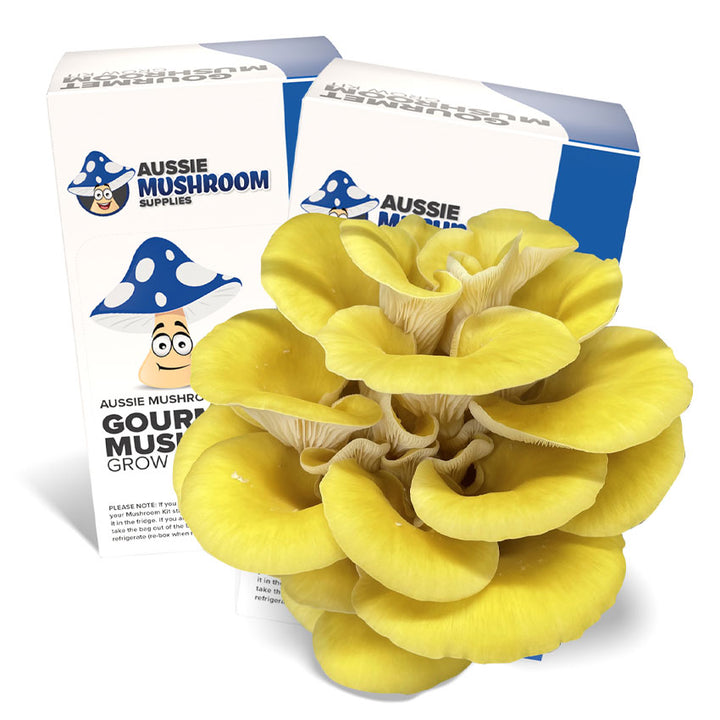 Aussie Mushroom Kit