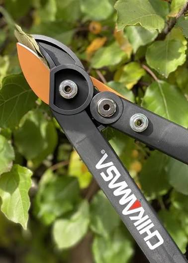 Chikamasa LP450 Japanese power-assisted pruning lopper with fluorine coated carbon steel blade cutting through tree branch