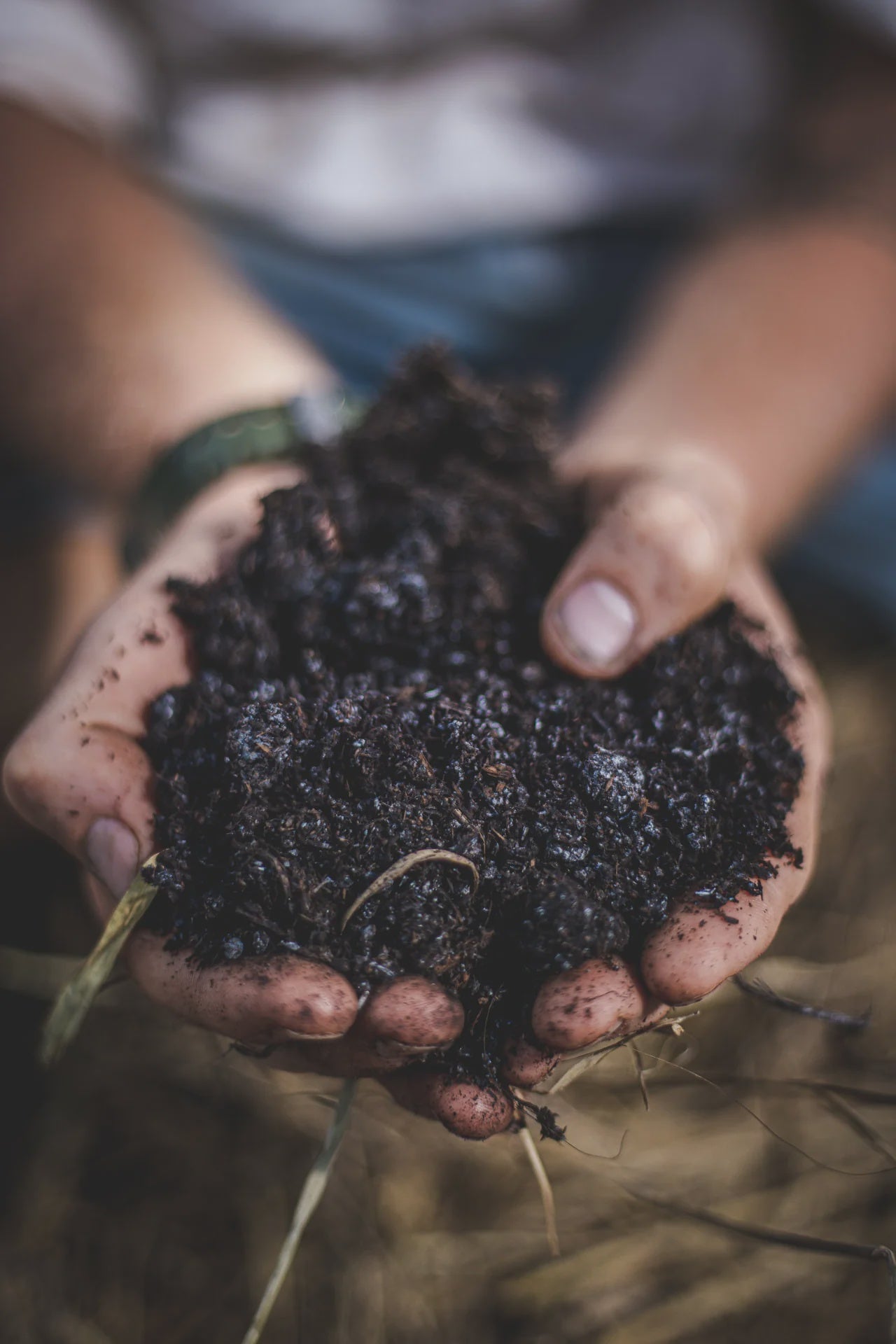 Morpheus biodynamic compost by Red Soil Organics — high-intensity, microbe-rich compost for soil regeneration and plant vitality