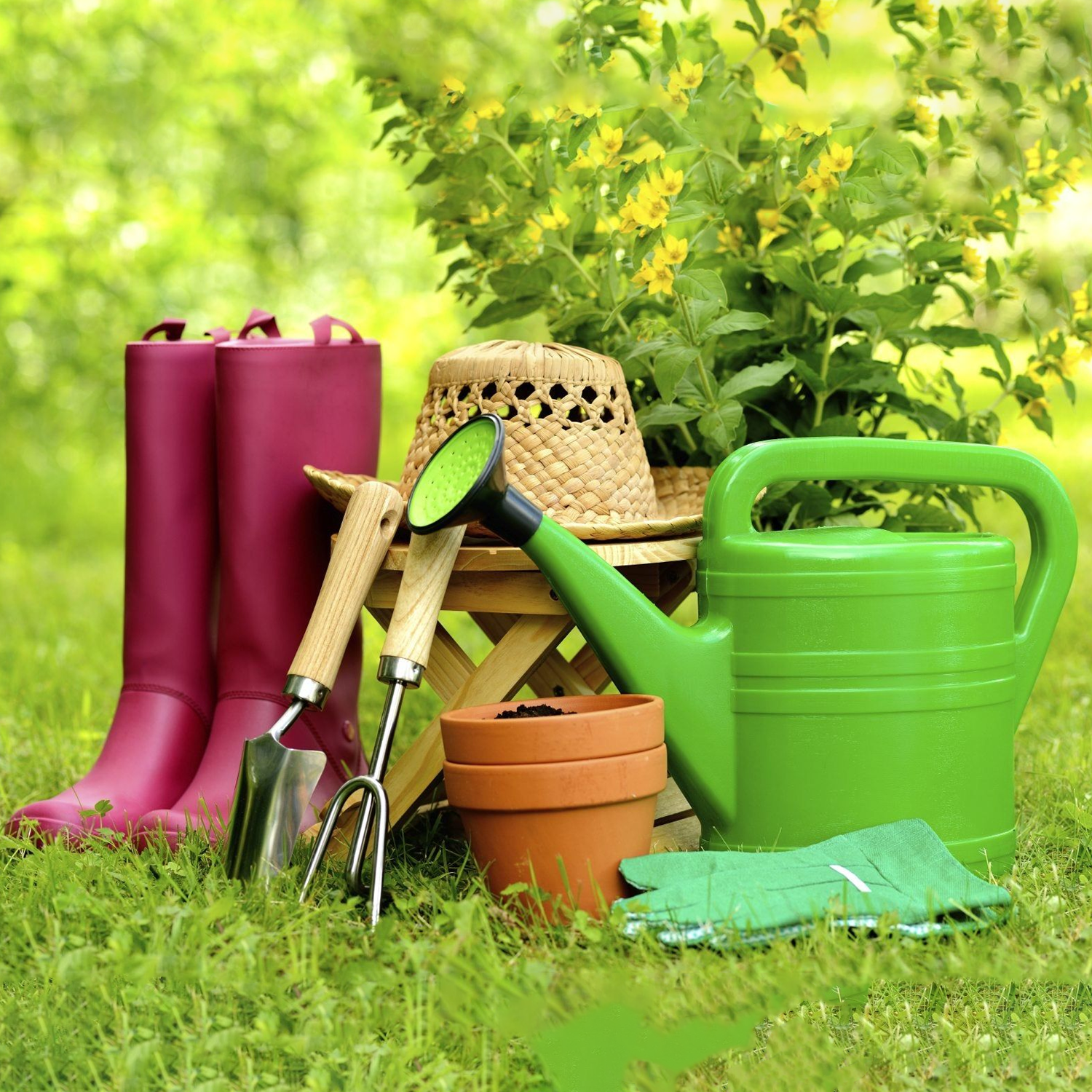 Modern web banner with gardening product display