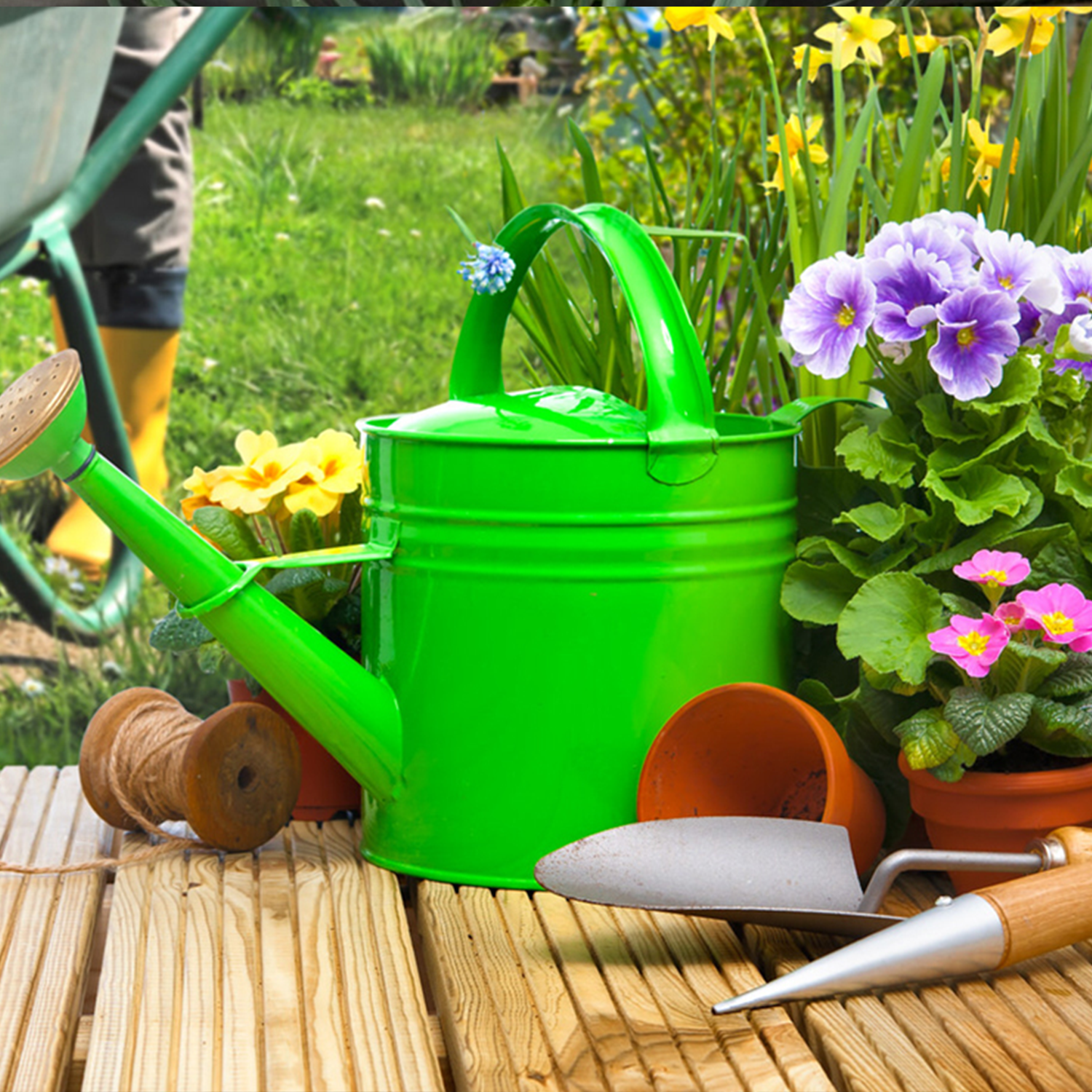 showcasing hydroponic gardening tools