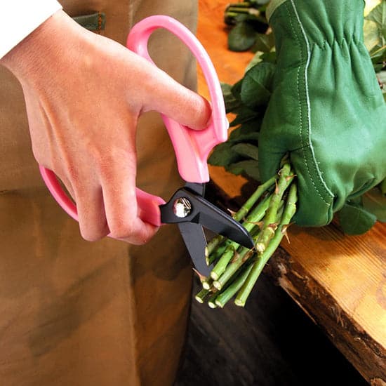 ARS Floral Scissors Black