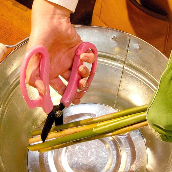 ARS Floral Scissors Black