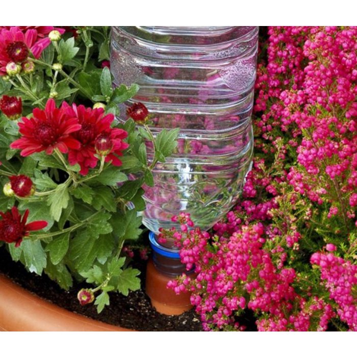 Blumat Bottle Adapter