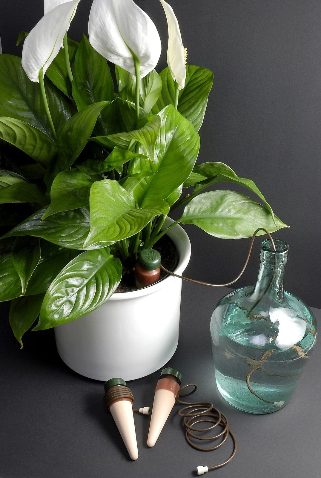 Blumat Classic Junior Watering Stake