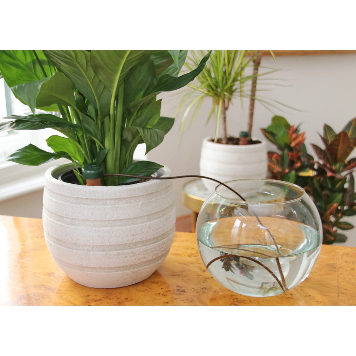 Blumat Classic Junior Watering Stake