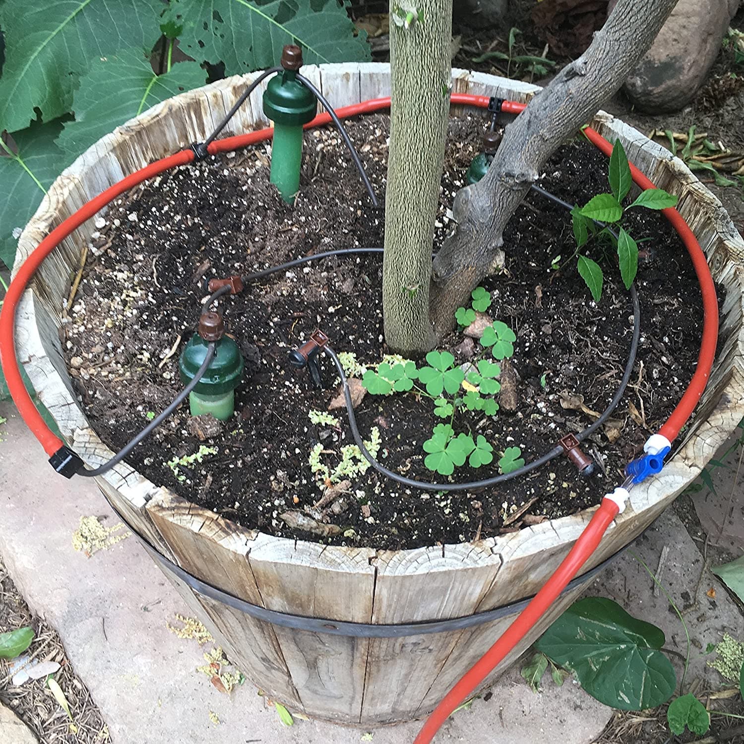 Blumat Distribution Dripper Kit