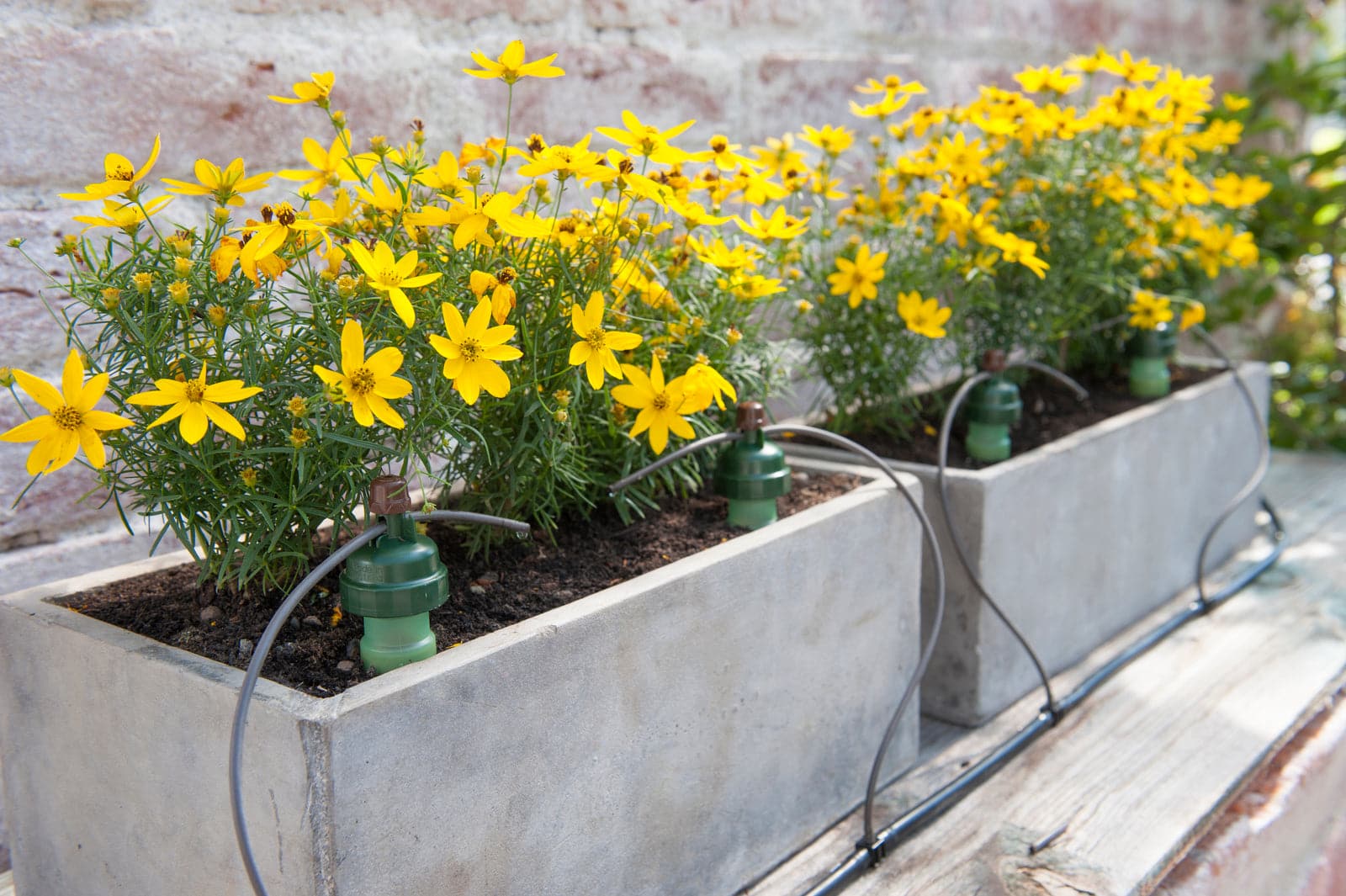 Blumat Hose Connectors 8mm