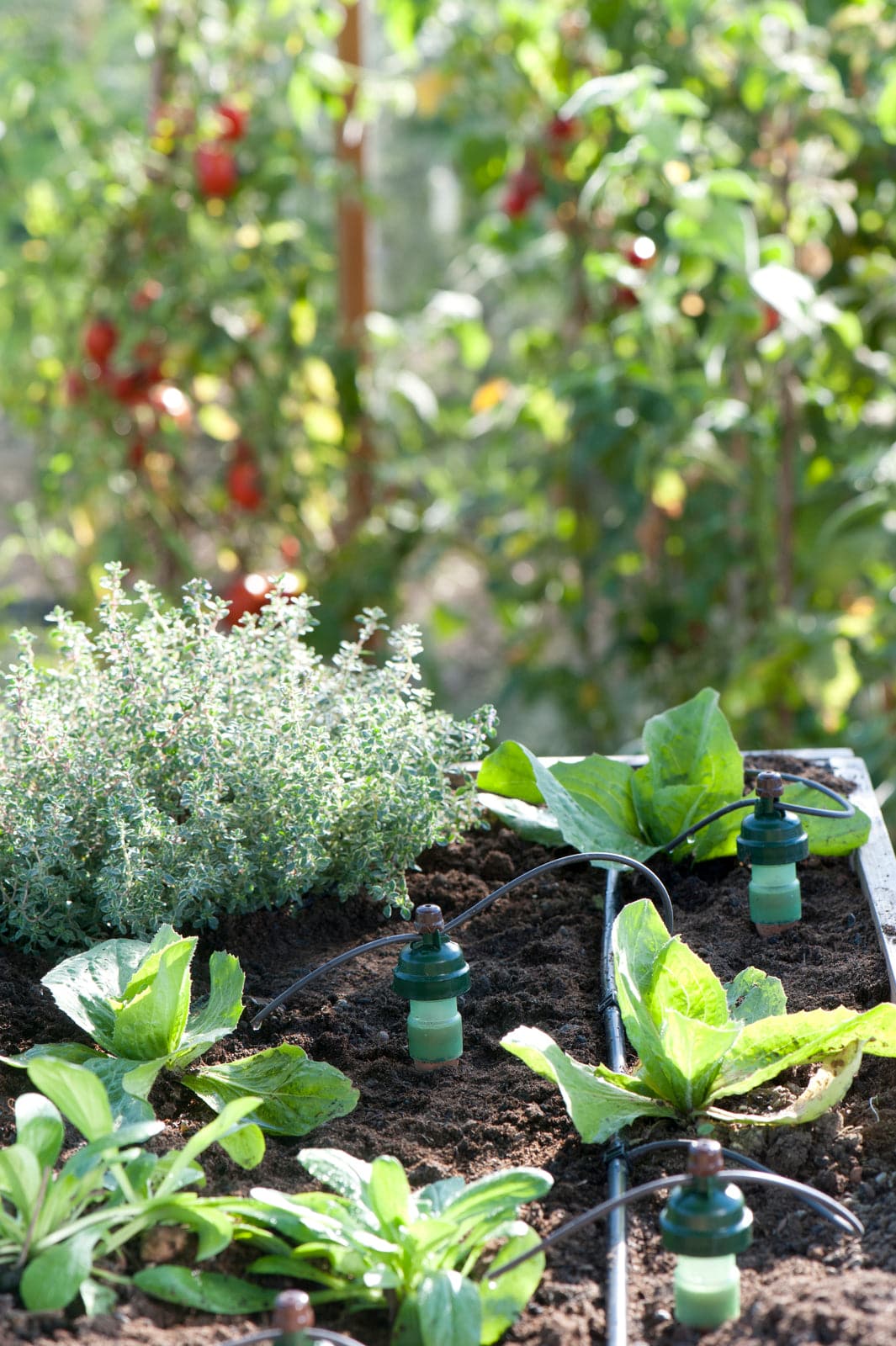 Blumat Hose Connectors 8mm