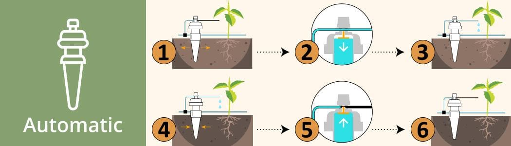 Blumat Regular Carrot