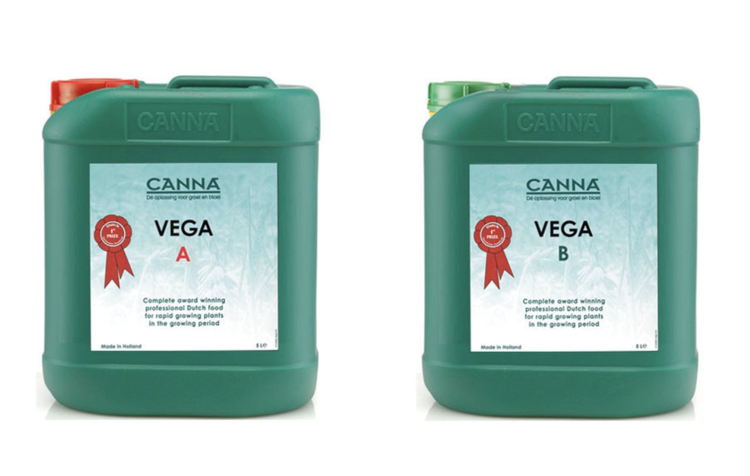 Canna Classic Vega A&B