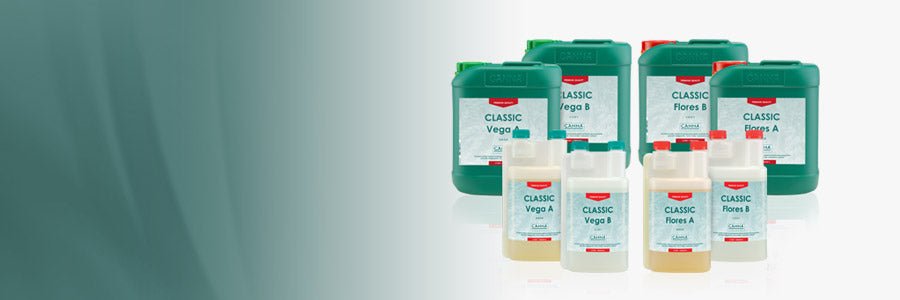 Canna Classic Vega A&B
