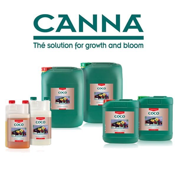 Canna Coco A&B