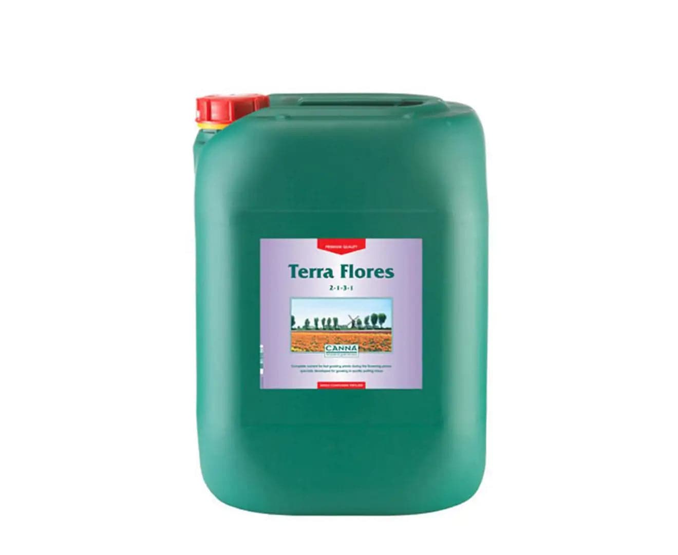 Canna Terra Flores