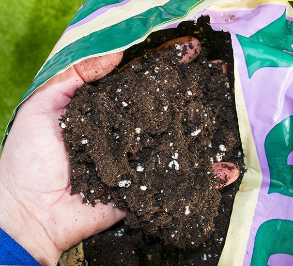 Canna Terra Professional Soil 50L