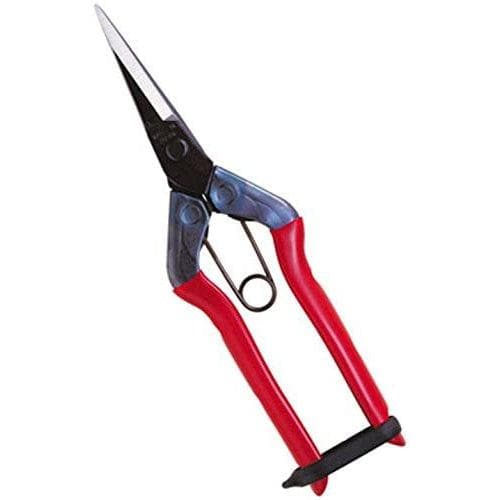 Chikamasa Pruning Shears T-550