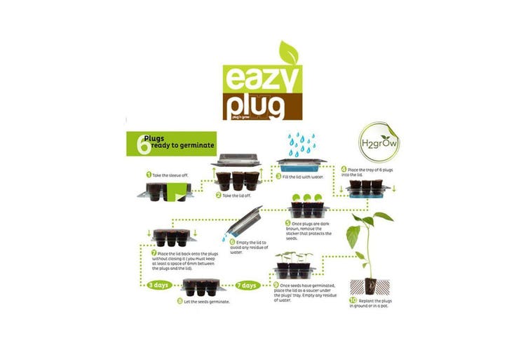 Eazy Plug Seed Sowing Kit