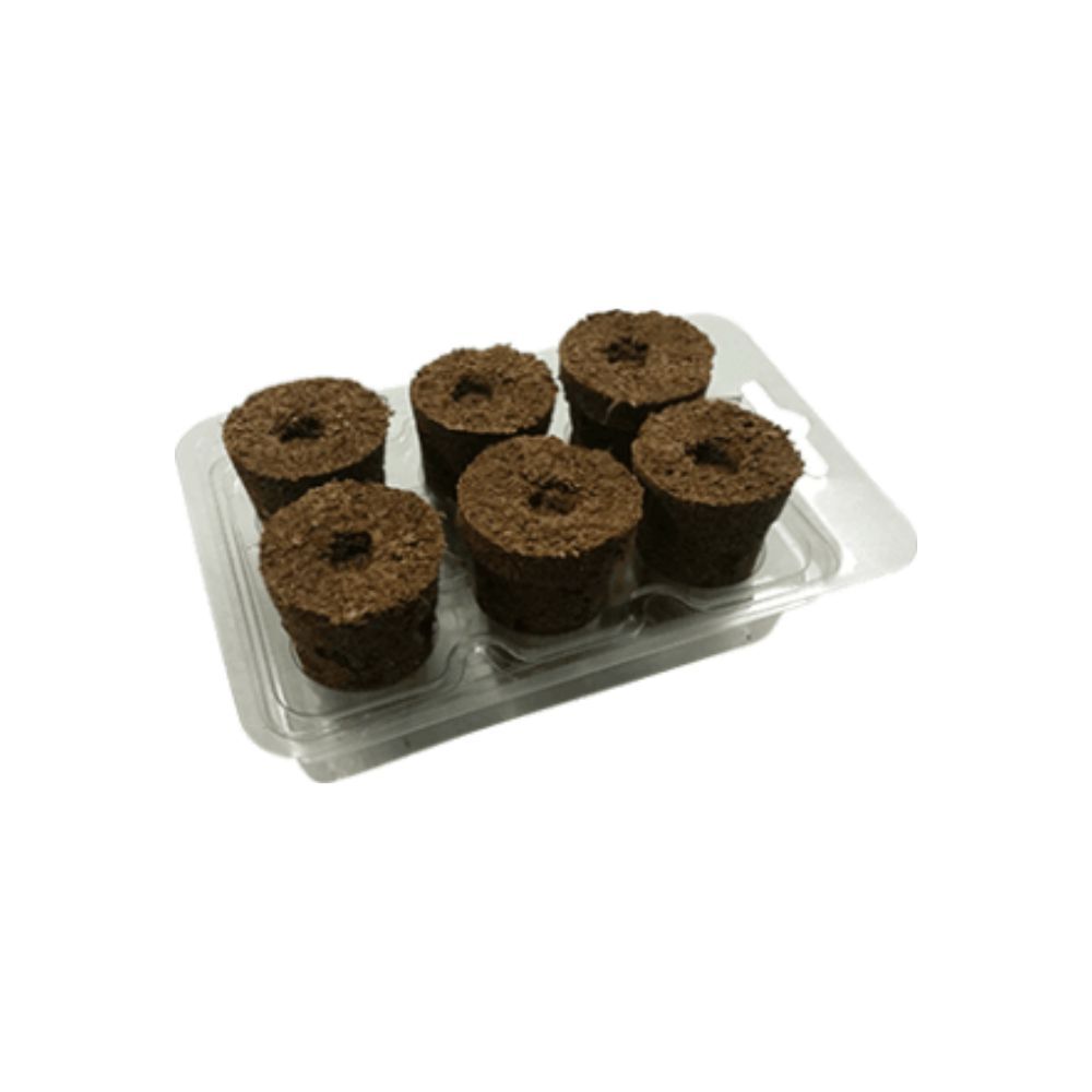 Eazy Plug Seed Sowing Kit
