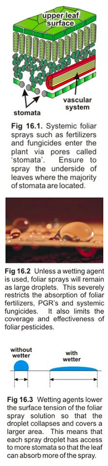 Flairform Top Wet - Wetting Agent