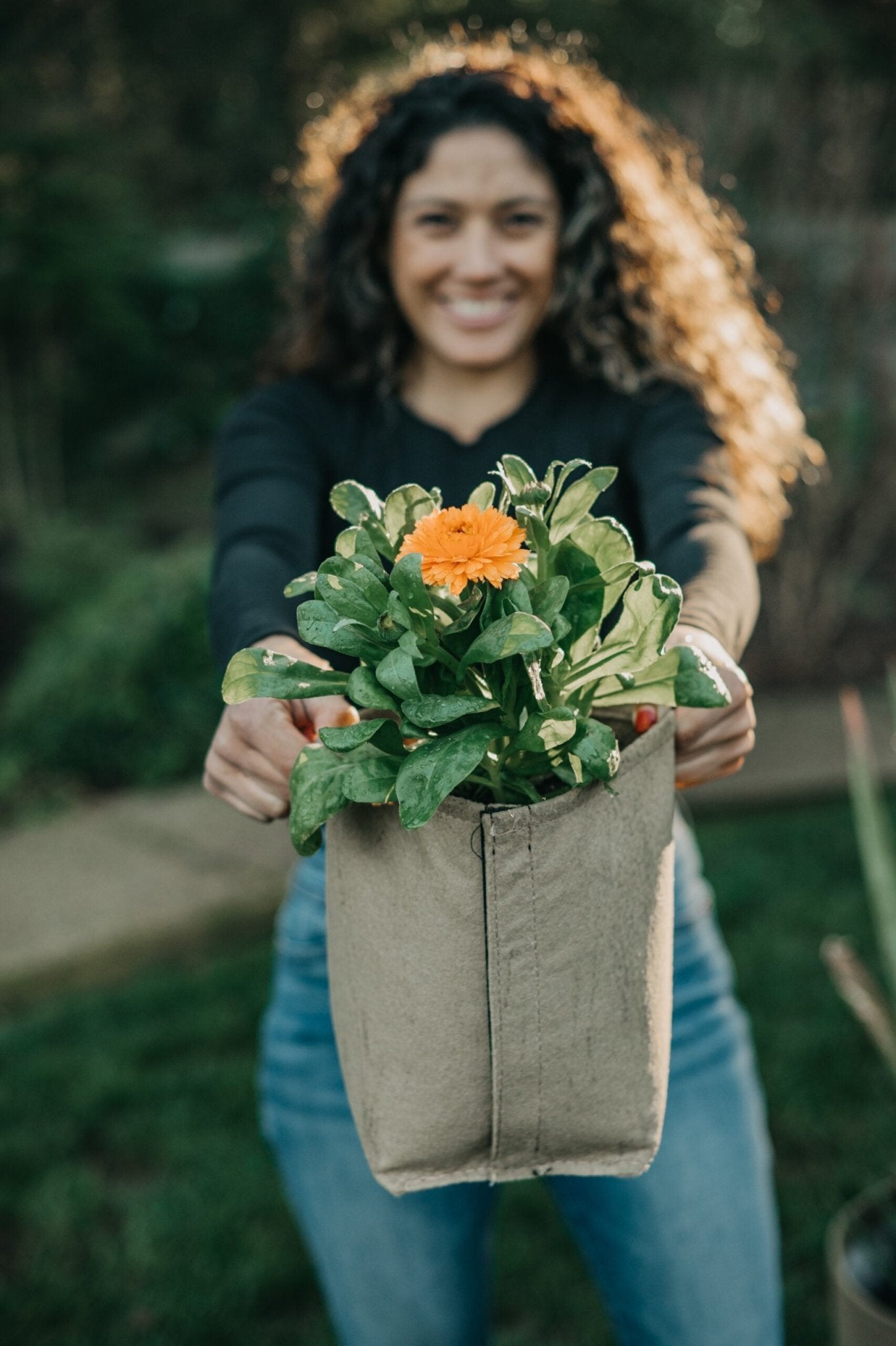Grassroots Transplanter Fabric Pot
