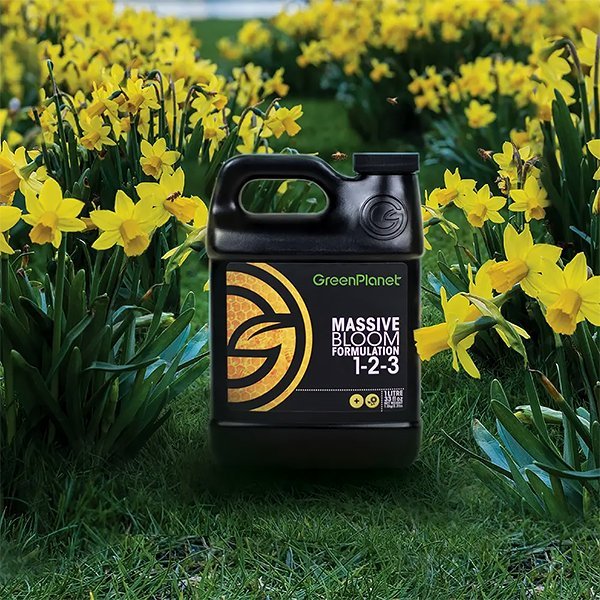 Green Planet Massive Bloom