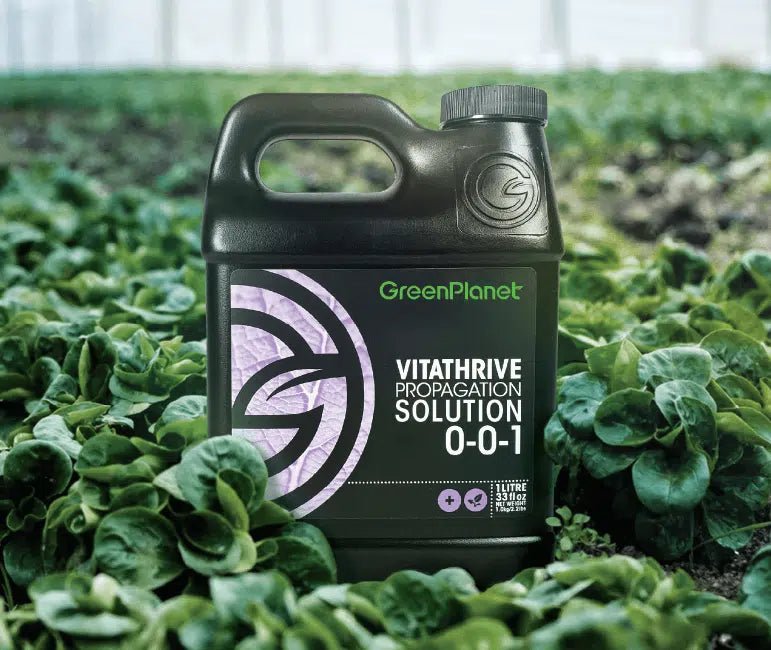 Green Planet - Vitathrive Propagation Solution