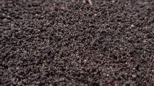 In The Loop Premium Worm Casting 10L