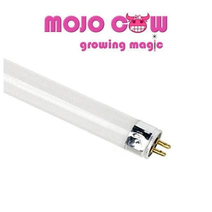 Mojocow Propagation Light Kit (White)