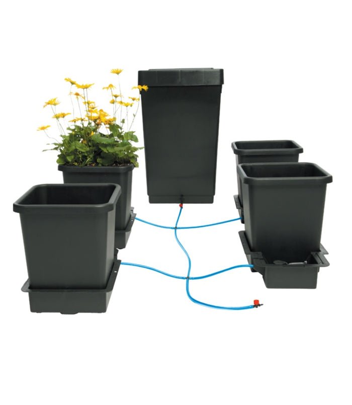 Nutrifield AutoFeed 4 Pot Autopot System