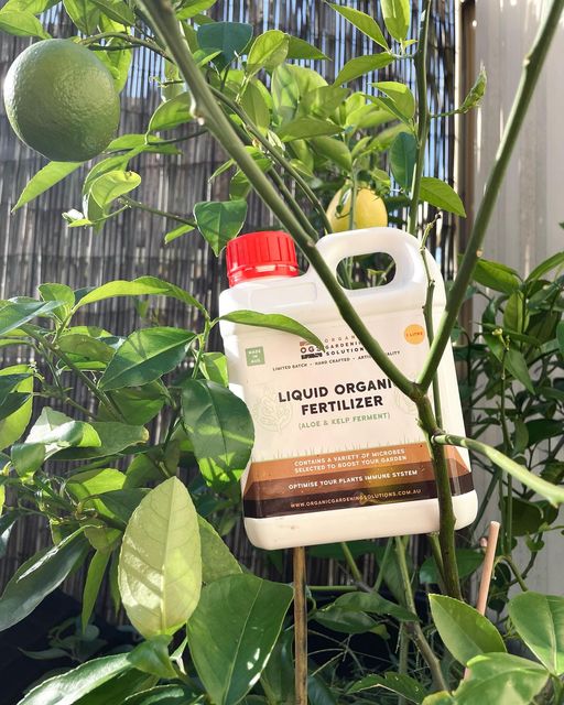Organic Gardening Solutions Liquid Organic Fertiliser