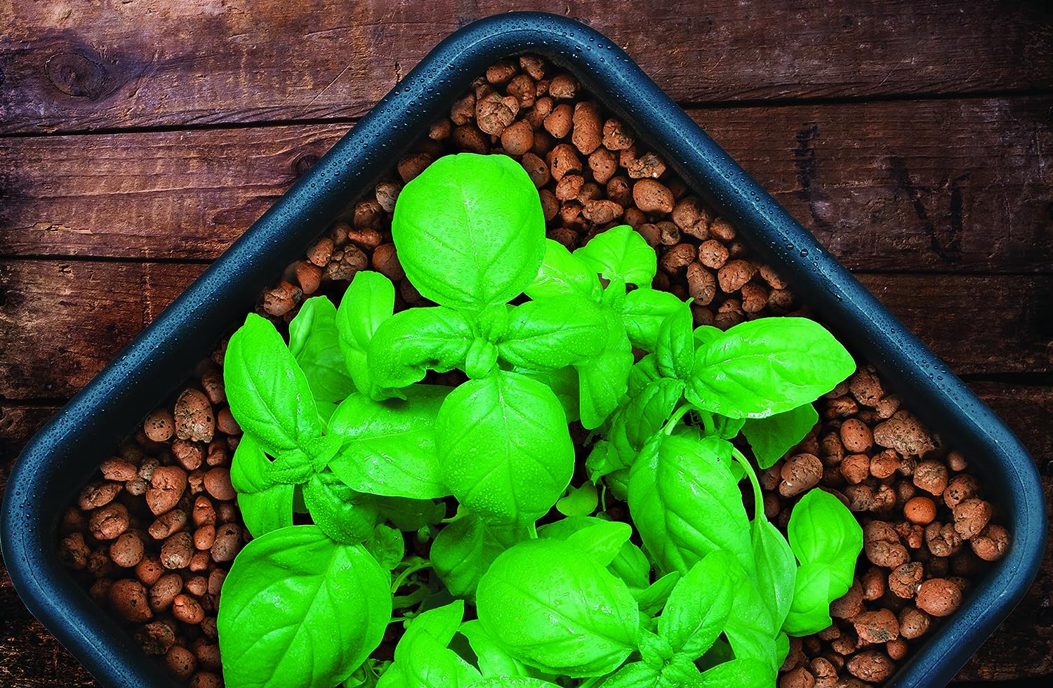 Professor's Nutrients Hydro Clay Balls 10L