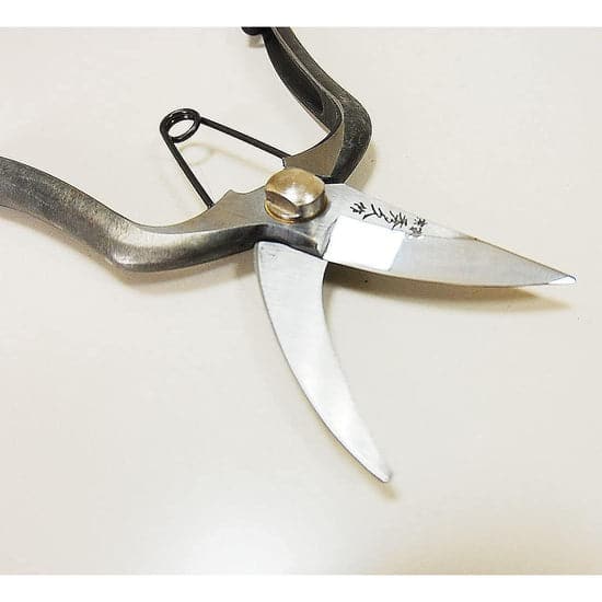 Toyama Hamono Hidehisa Pruning Secateurs T19