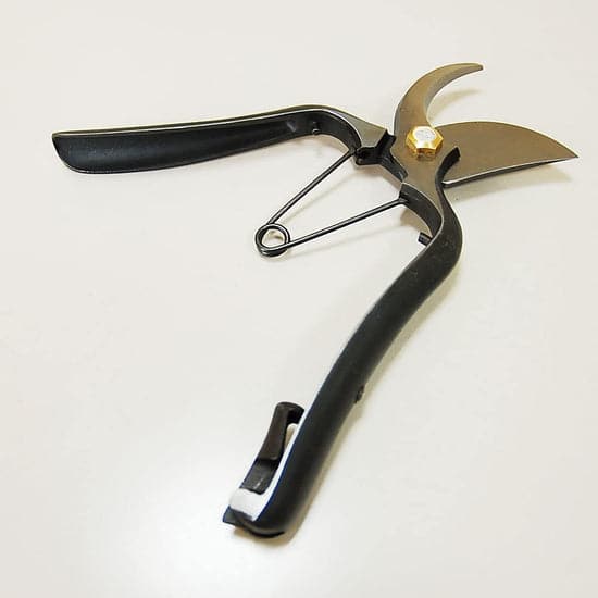 Toyama Hamono Hidehisa Secateurs 200mm T14