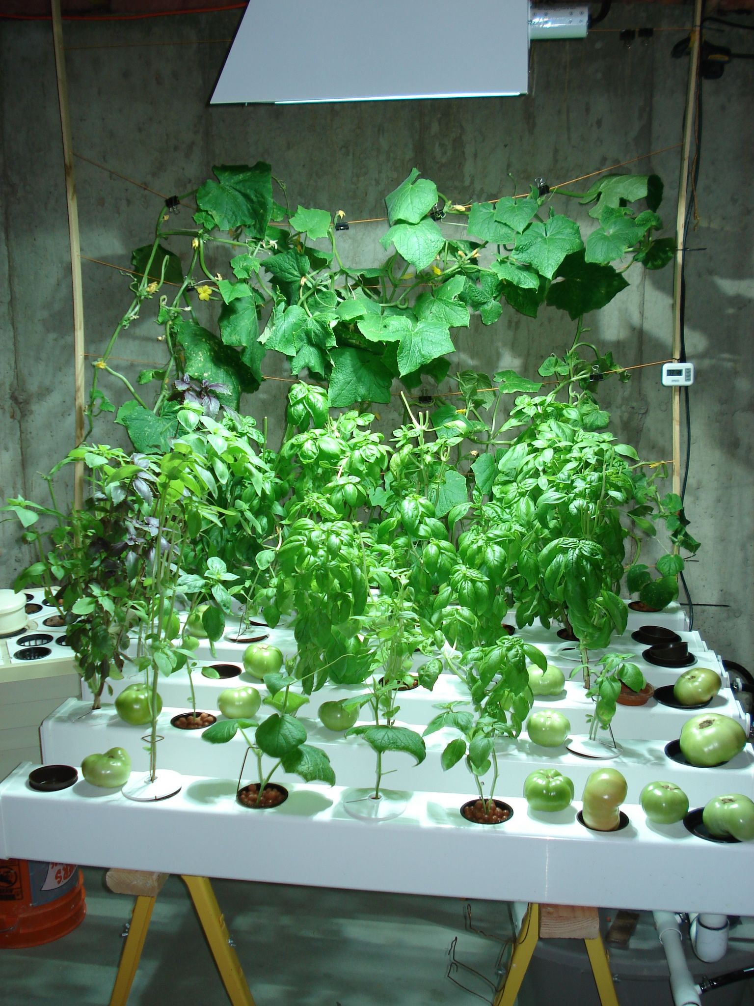 Organic gardening promotional image with hydroponic plants
