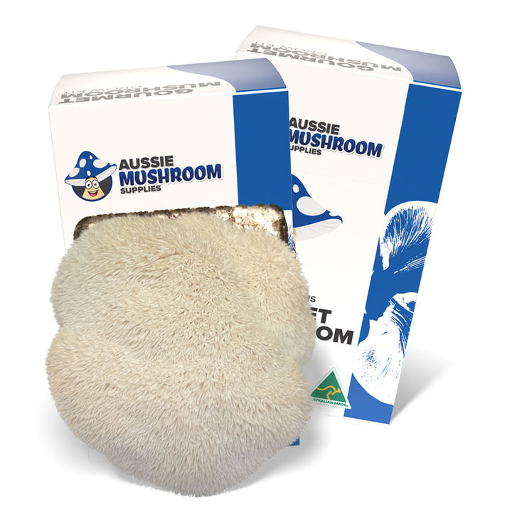 Aussie Mushroom Kit